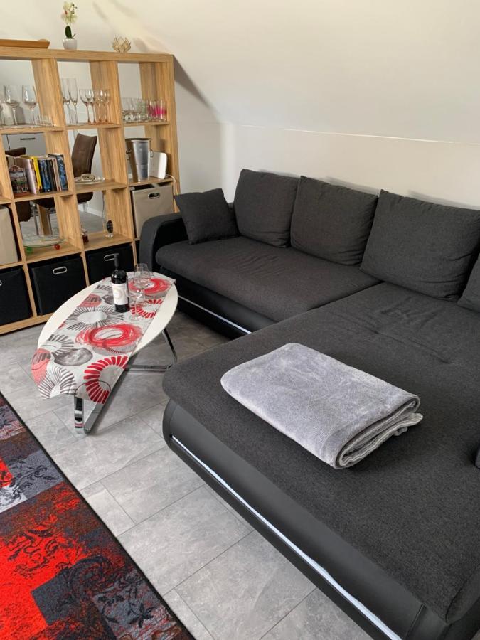 Ferienwohnung Sunny - Moderne Ferienwohnung Im Gruenen In Saarbruecken-West Εξωτερικό φωτογραφία
